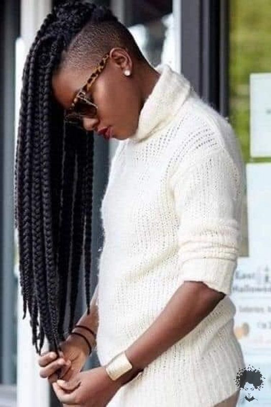 35 Gorgeous African Hair Braids to Spice Up Parties 16