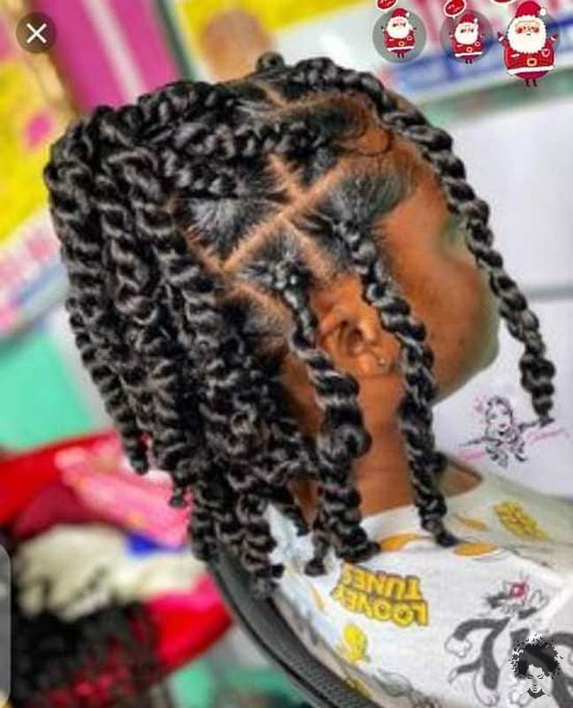 Best Looking Black Braided Hairstyles for 2021003 1
