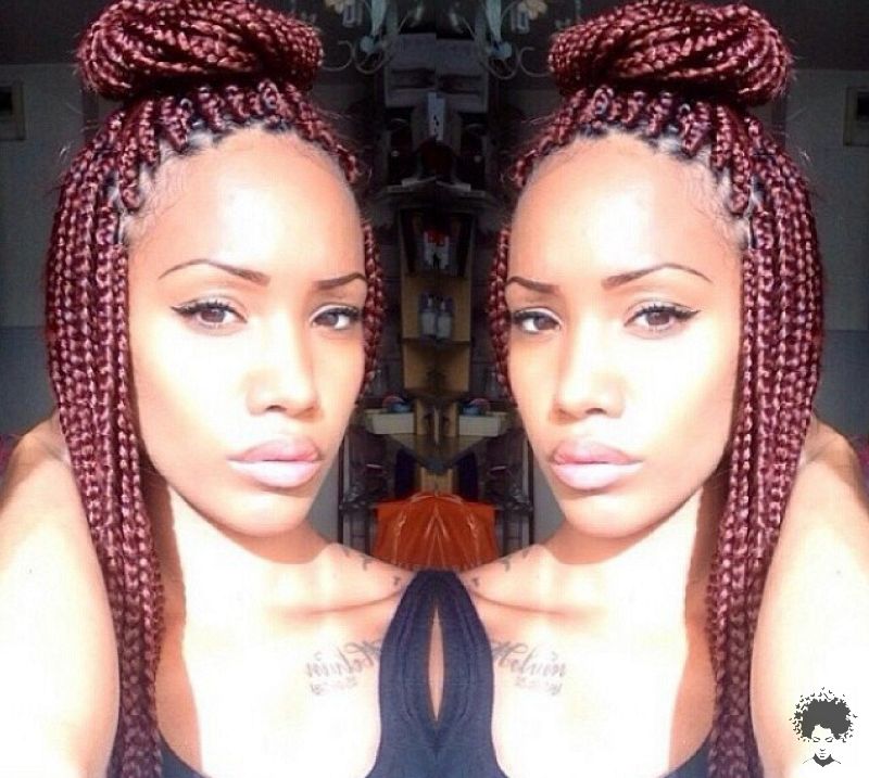 Burgundy box braids025