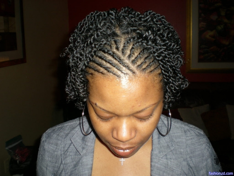 French Roll Braid Hairstyles 2021030