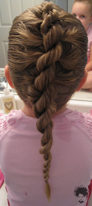 French Roll Braid Hairstyles 2021033