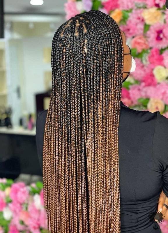 Trendiest Braids Hairstyles 2021 Cute Hair Concepts For Hot Girls18