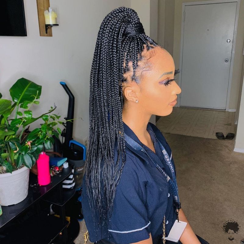 Which Hairstyle Is African Braid Suitable For 07