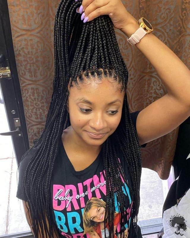 Box Braided Hairstyles That We Will See Frequently in 2021 10