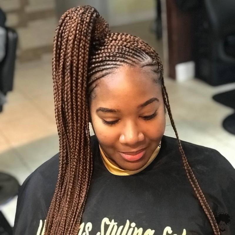 Braided Hairstyles You Will Definitely Try 35