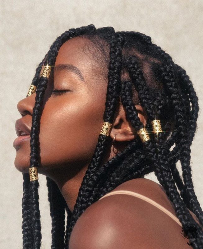 This Years Trend Colored African Hair Braid Models 18