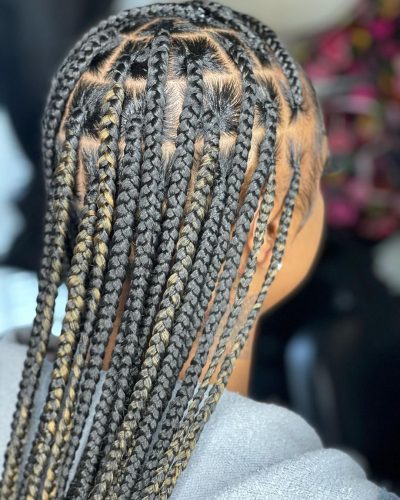 45 PHOTOS: Hot and Stylish Black Braided Hairstyles