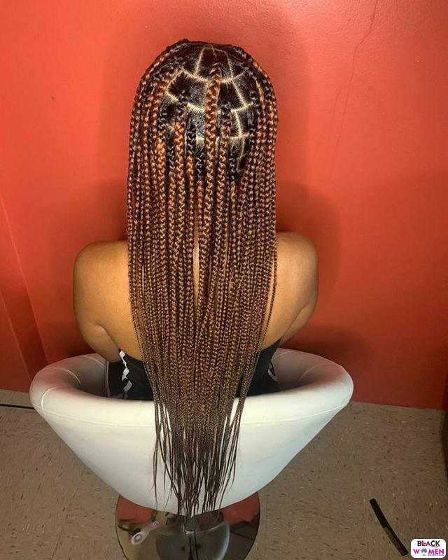 Latest Braids Hairstyle For Ladies 2021 Beautiful Braids 015