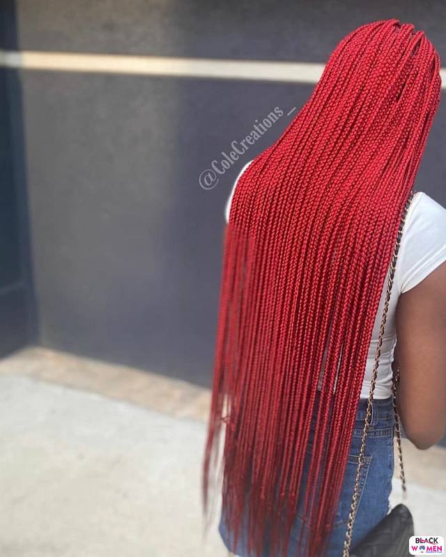 Latest Braids Hairstyle For Ladies 2021 Beautiful Braids 020