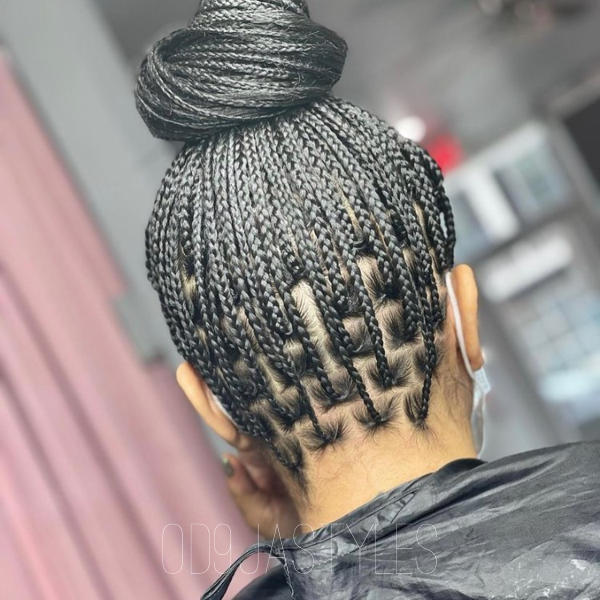 Knotless Box Braids (2)