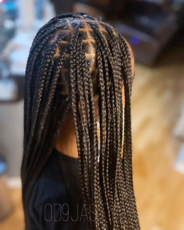 Knotless Box Braids (5)