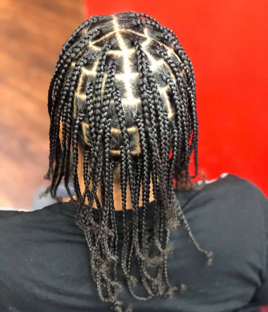 Long Box Braids thehairfairy swin