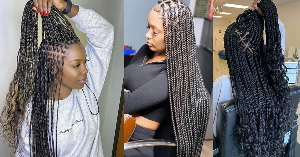 Long Gorgeous African Braids for Long Hair Lovers