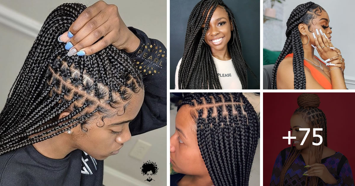 Stylish Recent Braided Hairstyles You Should Consider, Volume 4.