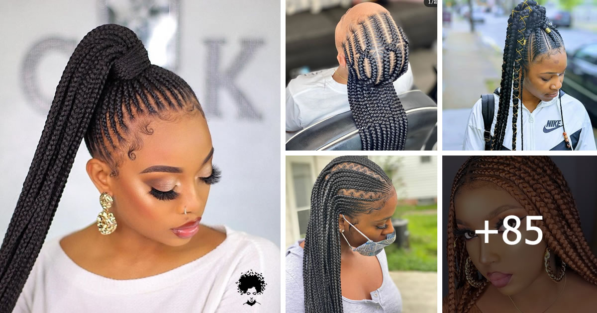 85+ Box Braids Hairstyles That Are Sure To Make You Look Hip