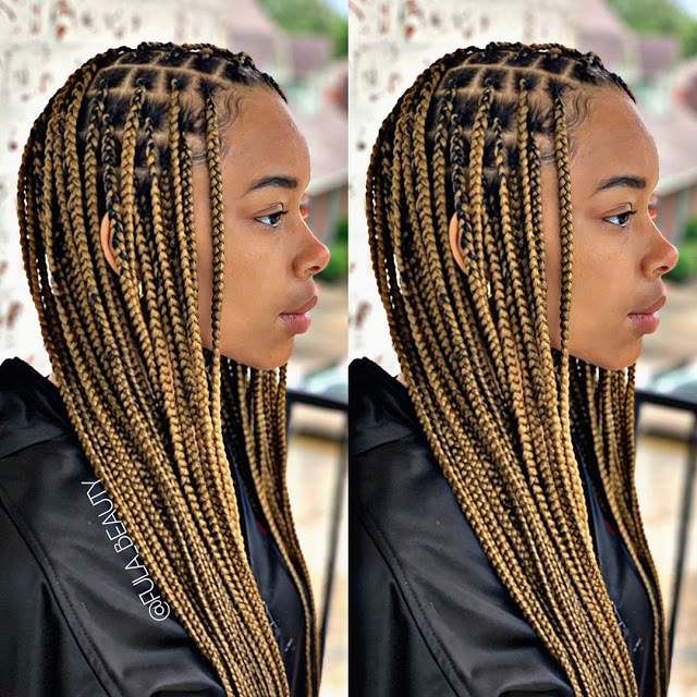 braided1 109