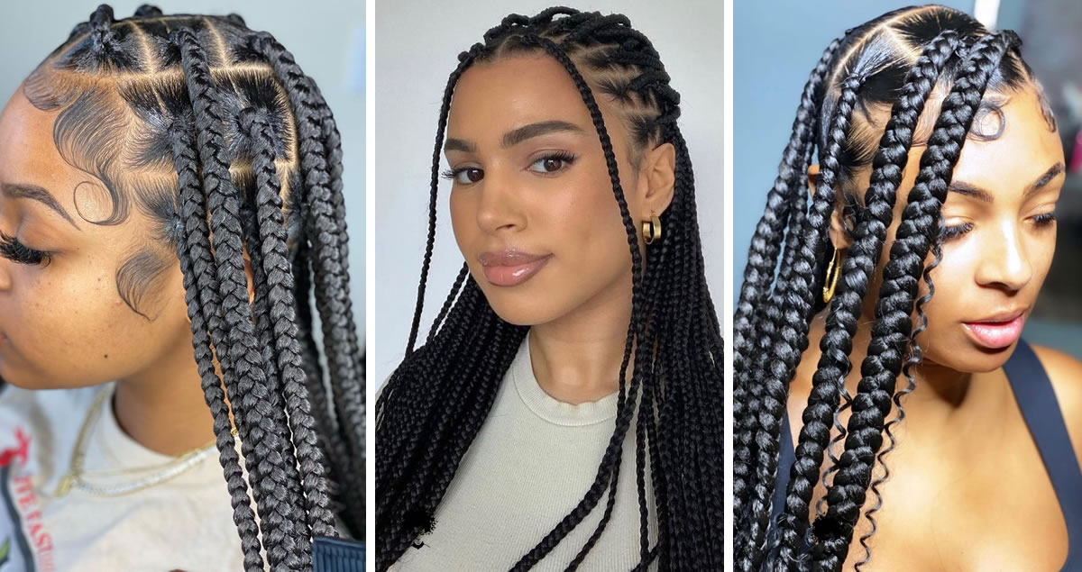 15 Hairstyles With Braids Black Hair