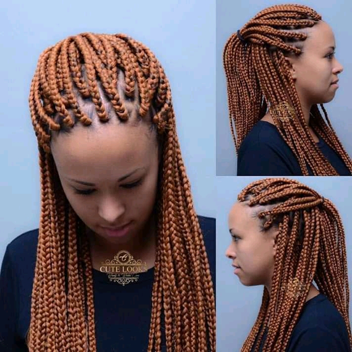 2022 Braided Hairstyles for 2022 Women 1