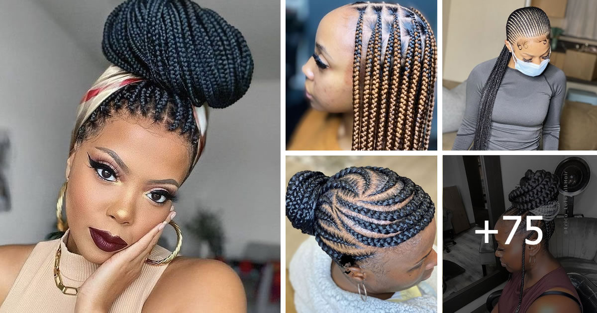 85 Amazing Box Braided Hairstyles to Inspire Your Look