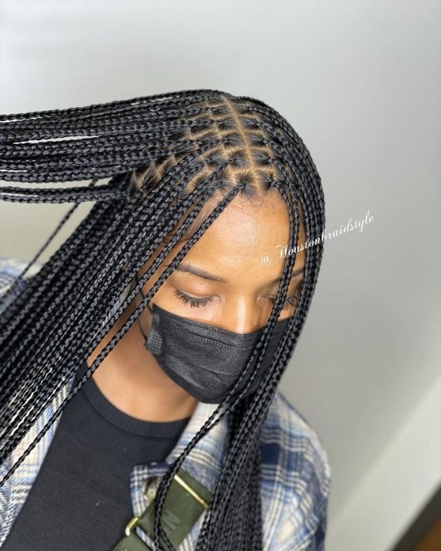 nhp box braids 1