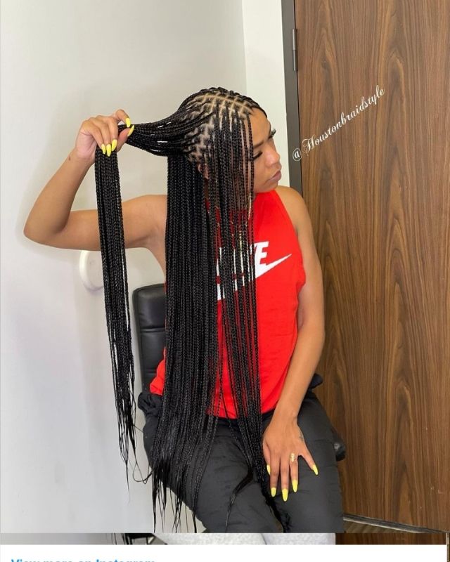 nhp box braids 24H