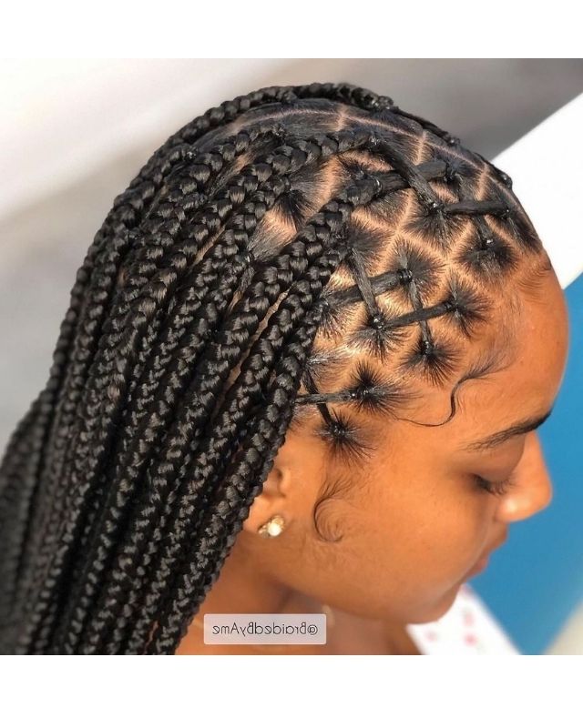 nhp box braids 5