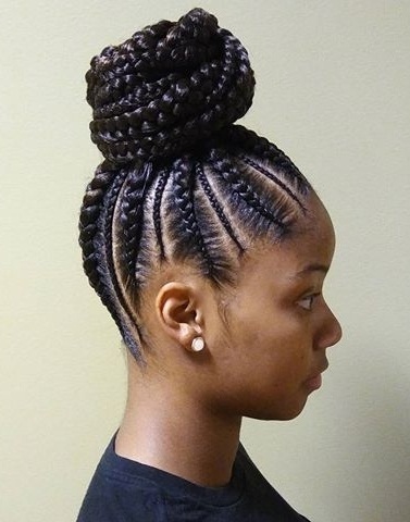 African Braids Updo