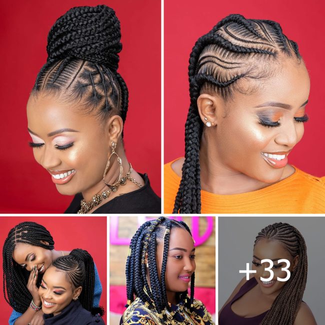 Braids Galore 33 Stunning Hairstyles to Elevate Your Look