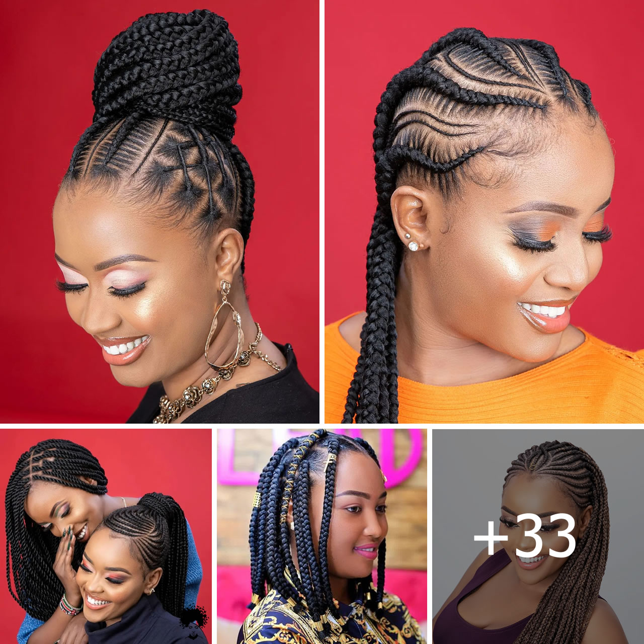 Braids Galore 33 Stunning Hairstyles to Elevate Your Look 1