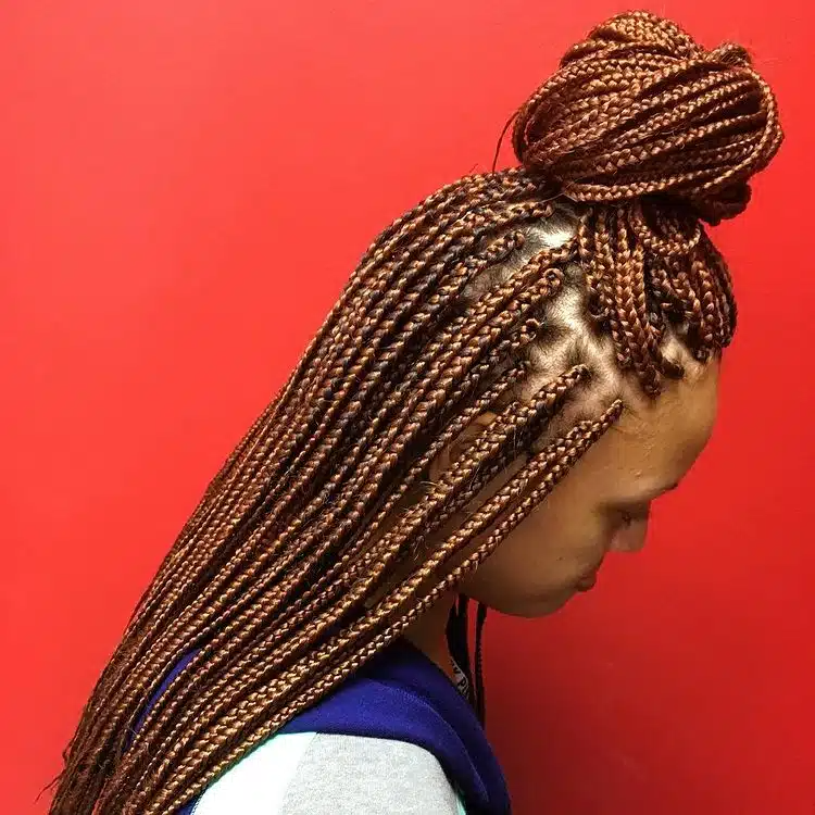 Half Up Small Brown Box Braids With High Bun.jpg