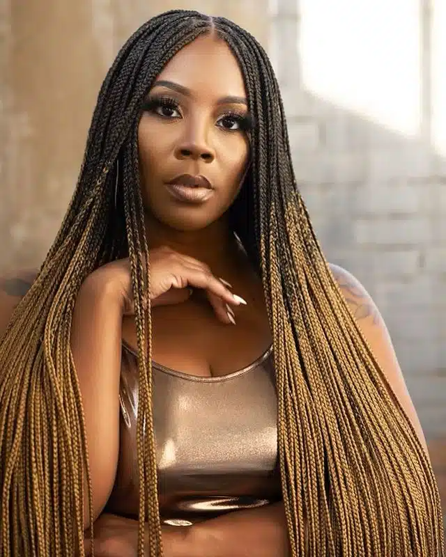 Long Black and Brown Ombre Box Braids.jpg