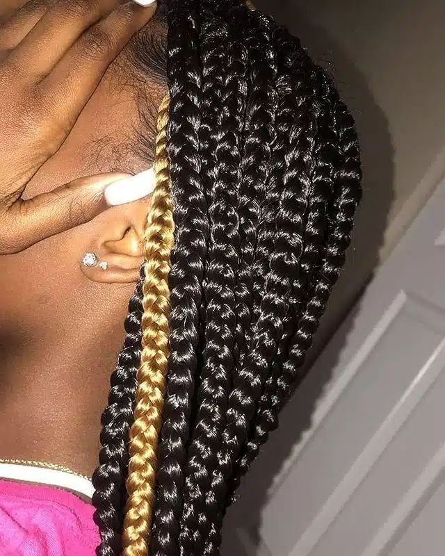 Small Black Box Braids With Blonde Highlight.jpg