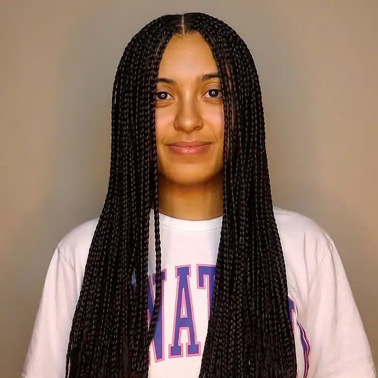 Small Black Box Braids With Middle Part.jpg