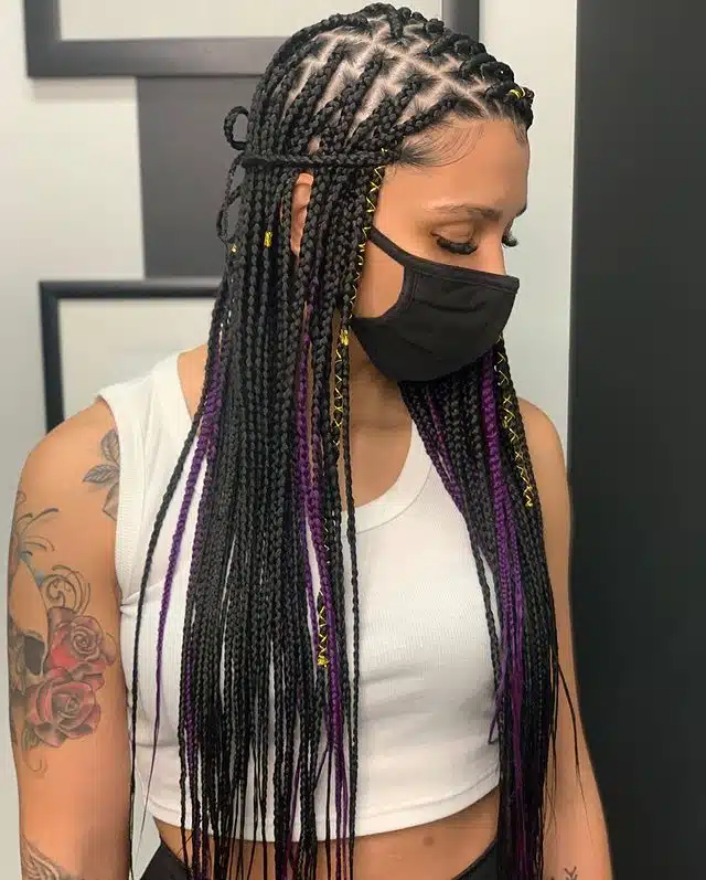 Small Black Box Braids With Purple Highlights.jpg