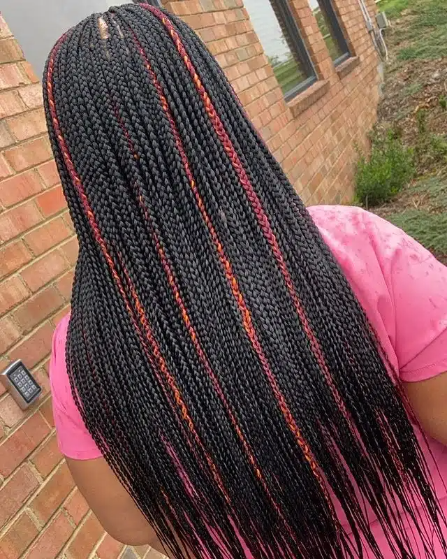 Small Black Box Braids With Red Highlights.jpg