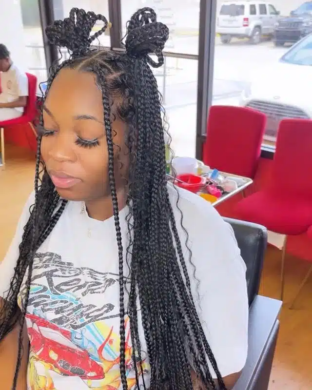 Small Black Box Braids With Two High Buns.jpg