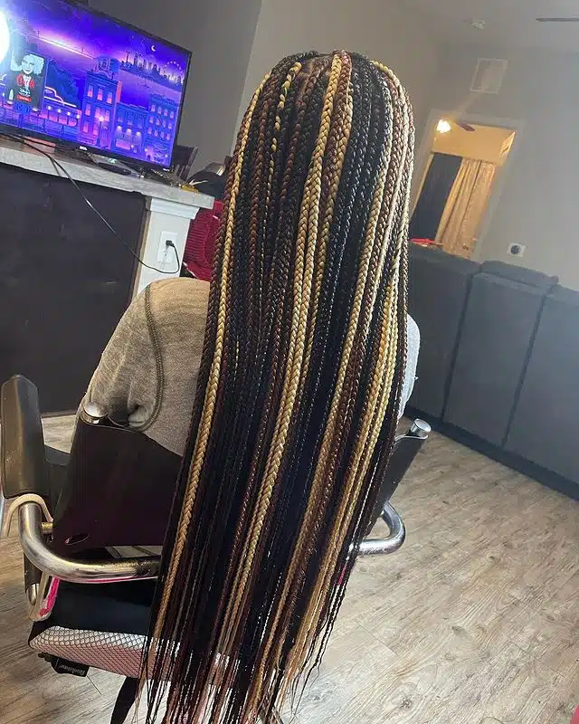 Small Black Brown and Blonde Box Braids.jpg