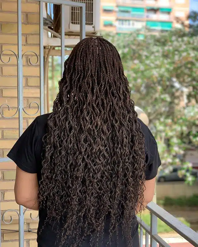 Small Black Crimped Goddess Box Braids.jpg