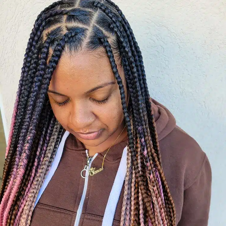 Small Black Pink and Brown Ombre Box Braids.jpg