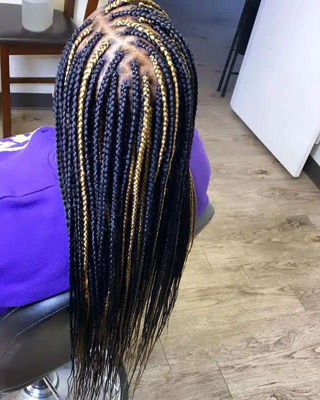 Small Black and Blonde Box Braids.jpg