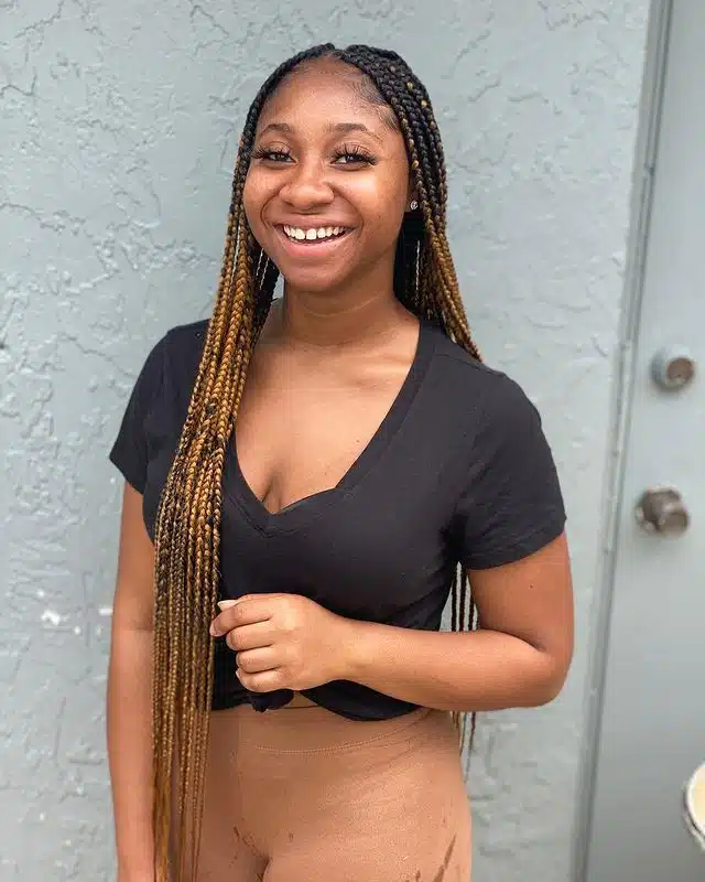 Small Black and Brown Ombre Box Braids.jpg