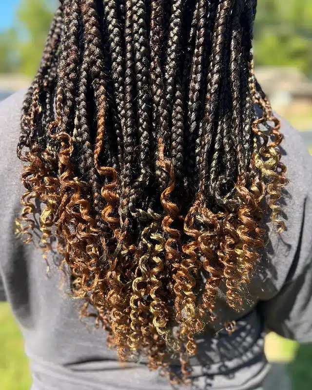 Small Black and Brown Ombre Goddess Box Braids.jpg