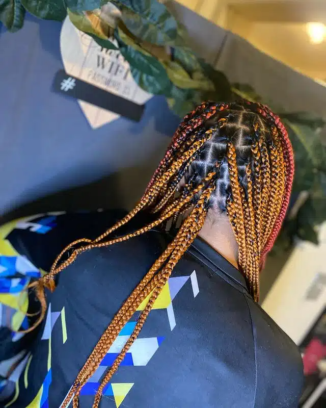 Small Brick Red and Brown Box Braids.jpg