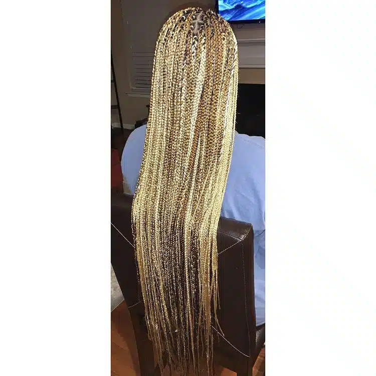 Small Brown and Platinum Blonde Box Braids.jpg