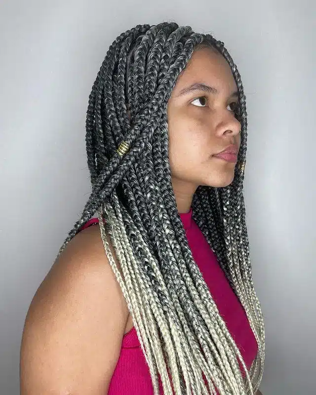 Small Gray and Blonde Ombre Box Braids.jpg