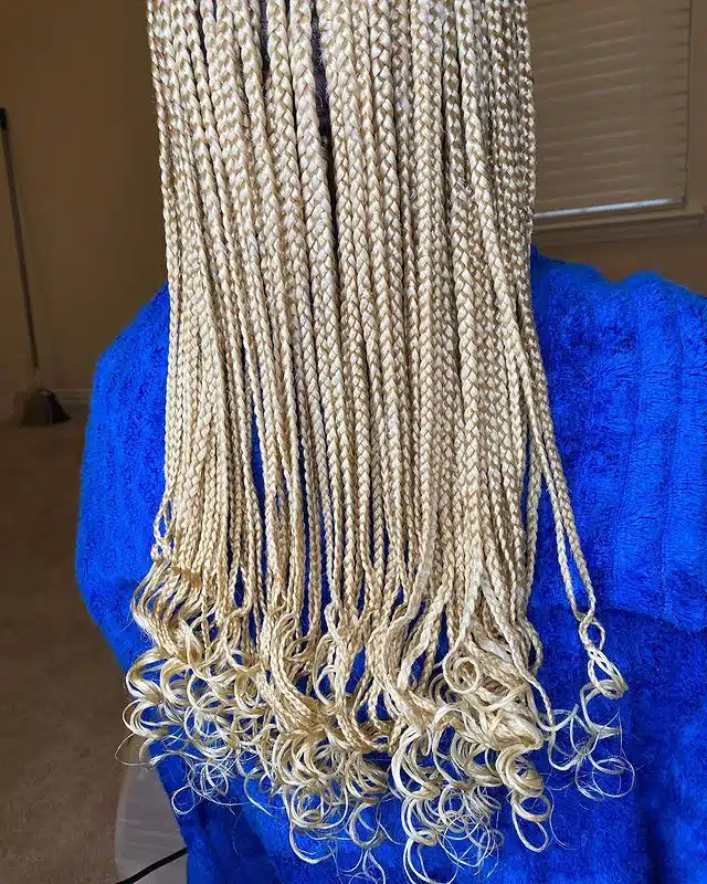 Small Platinum Blonde Goddess Box Braids.jpg