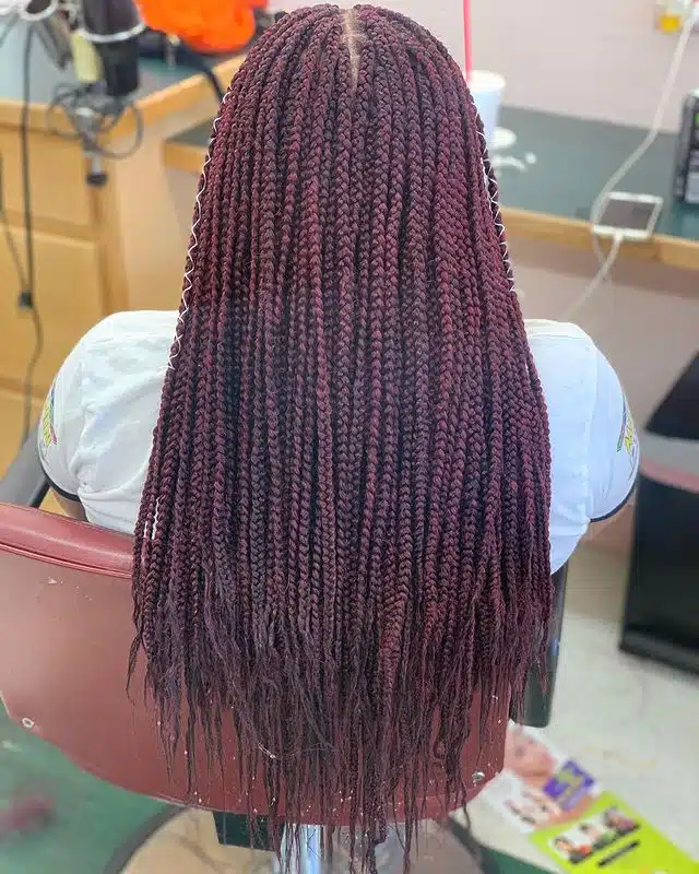 Small Purple Box Braids With White Metallic Hair Cord.jpg