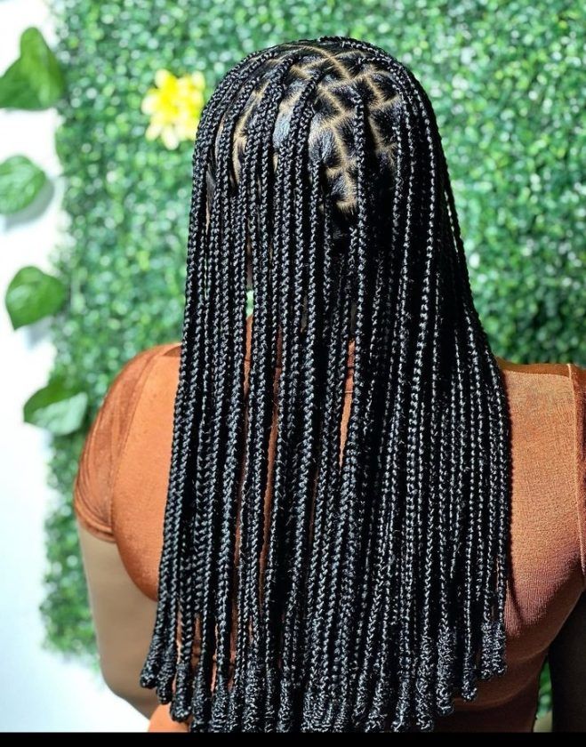 Top 74 Unique Braided Hairstyles to Refresh Your Look in 2024 13