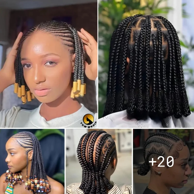 New Braided Hairstyles for Every Occasion
